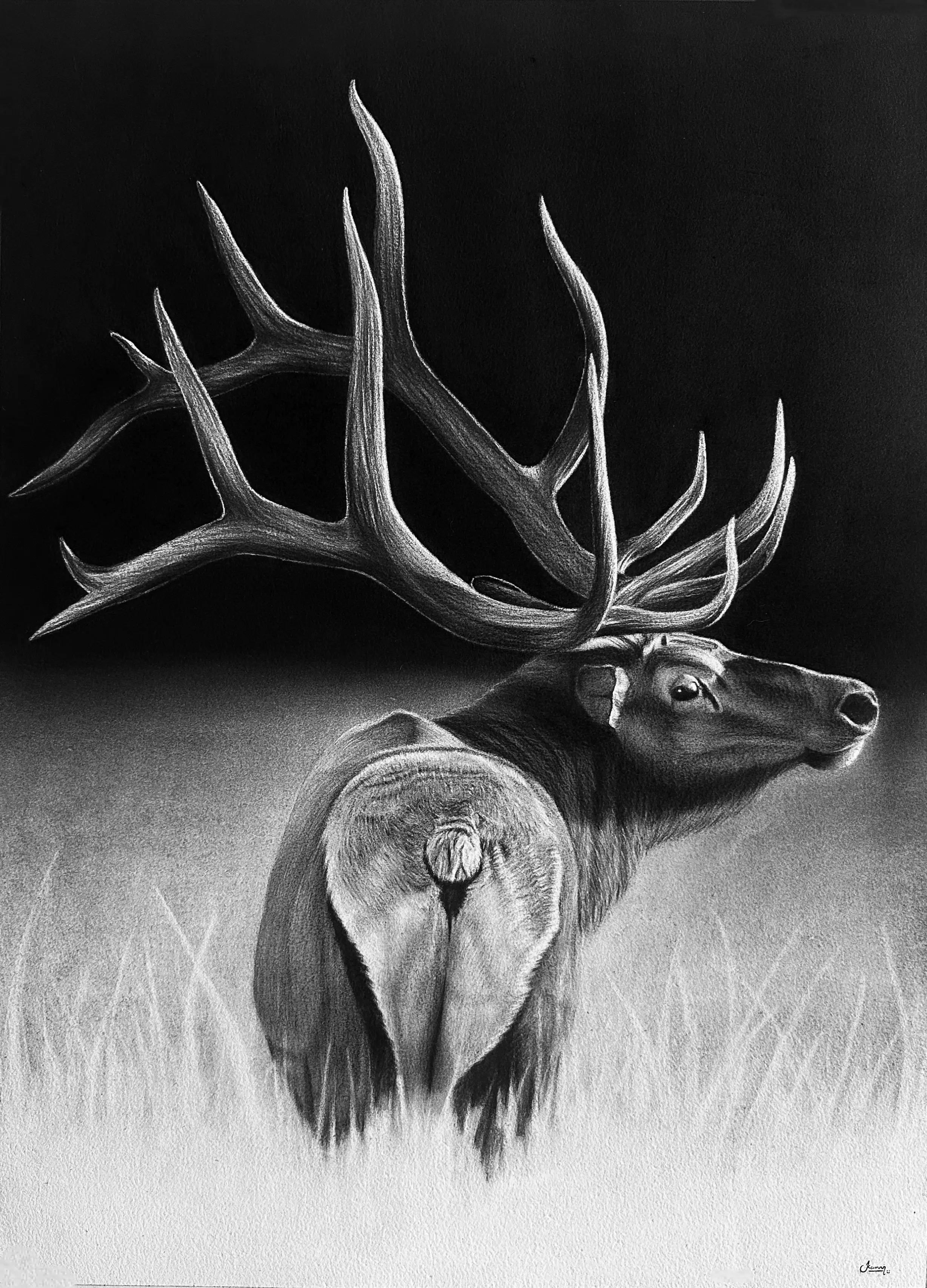 Poise of the wild 