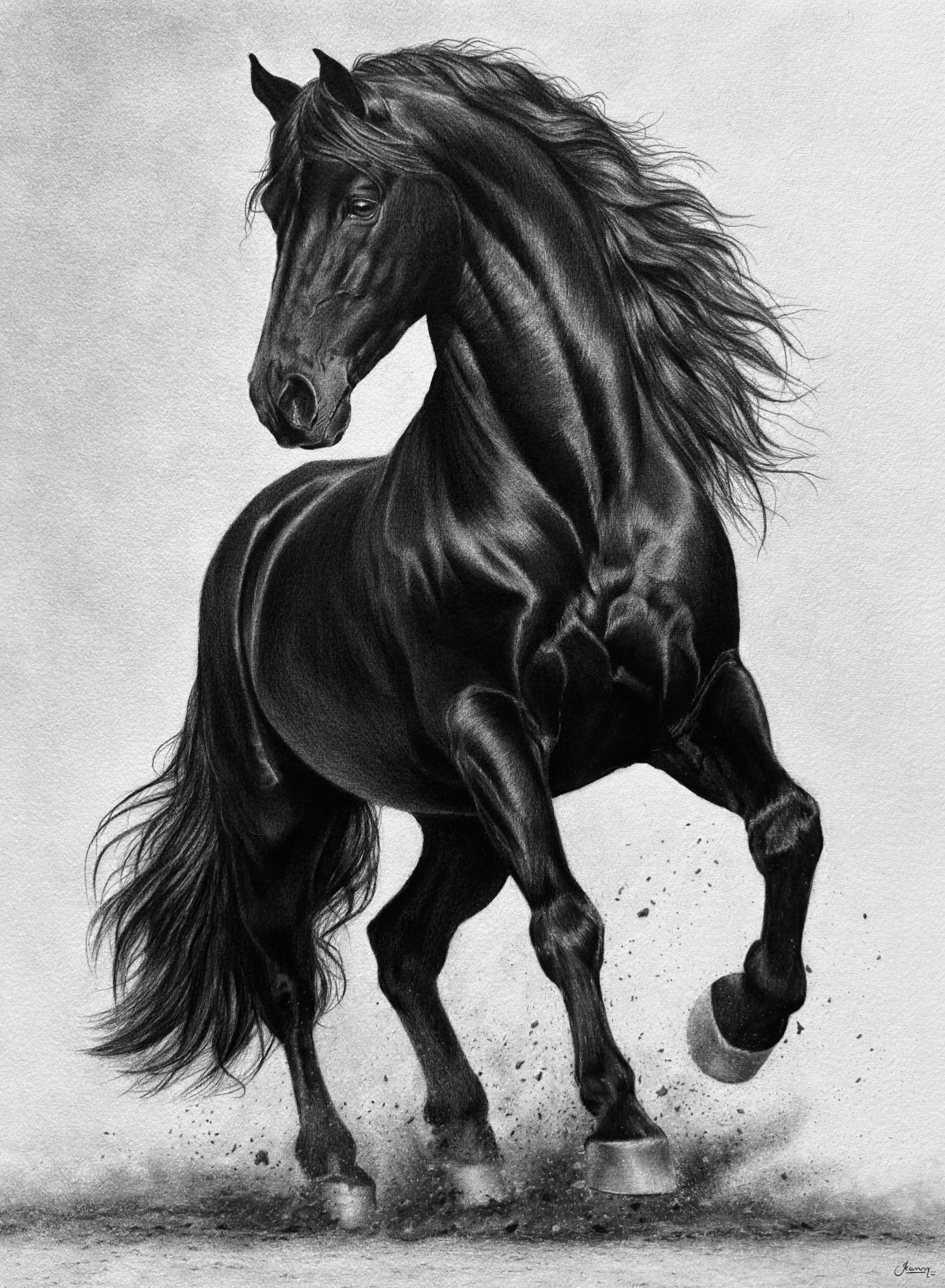 Black Majesty